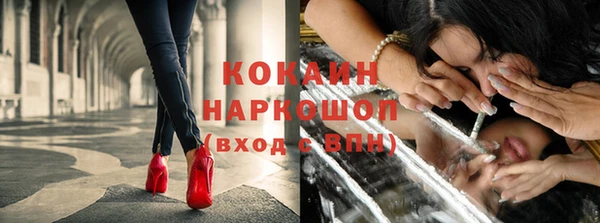 тгк Горняк