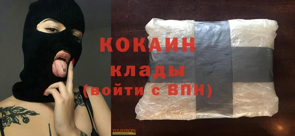 тгк Горняк