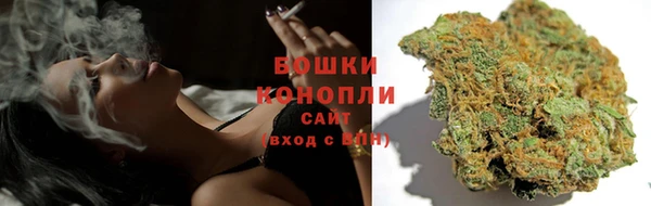 шишки Горнозаводск