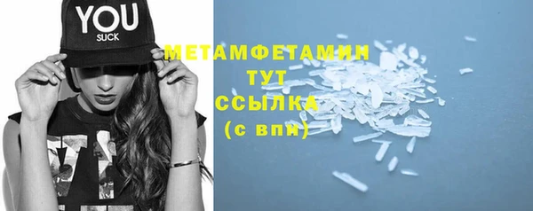 прущие грибы Вяземский