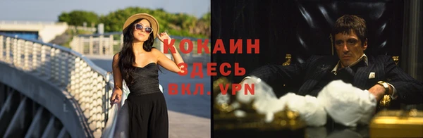 прущие грибы Вяземский