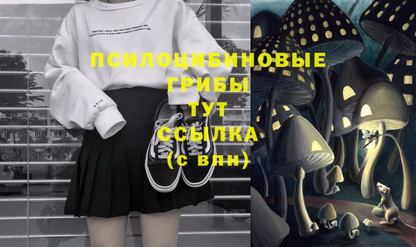 тгк Горняк