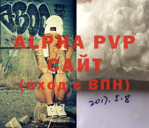 прущие грибы Вяземский