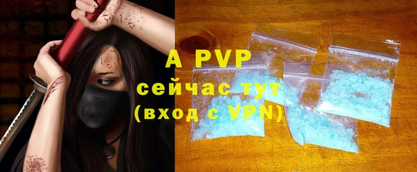 прущие грибы Вяземский