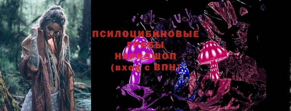 шишки Горнозаводск
