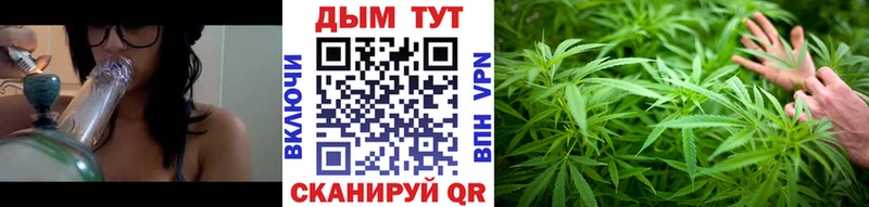 Бошки марихуана ГИДРОПОН  Дедовск 